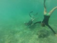 /album/galerie-de-photos-%3a-mon-amoureux-%c3%a0-mayotte-%3a-mardi-et-mercredi-11-et-12-03-2014/a8ieme-jour-ngouja-18-jpg/